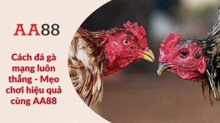 Cách đá gà mạng luôn thắng