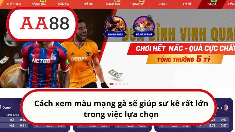 Cách xem màu mạng gà chọi của AA88: Chọn chiến kê bất bại 1 Cách xem màu mạng gà sẽ giúp sư kê rất lớn trong việc lựa chọn