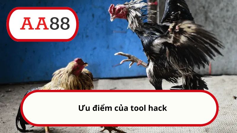 Hack đá gà Thomo - Tìm hiểu về tool hack đá gà trực tuyến 2 Ưu điểm của tool hack