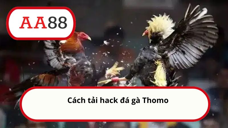 Hack đá gà Thomo - Tìm hiểu về tool hack đá gà trực tuyến 4 Cách tải hack đá gà Thomo