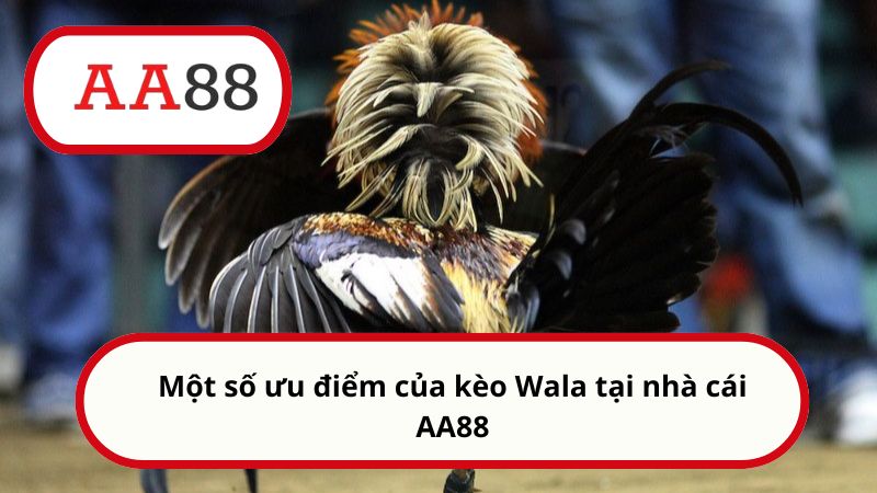 Wala là gì? Cách cược kèo chuẩn xác từ A đến Z cho newbie 3 Một số ưu điểm của kèo Wala tại nhà cái AA88