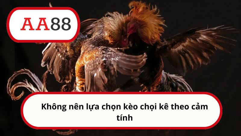 Wala là gì? Cách cược kèo chuẩn xác từ A đến Z cho newbie 6 Không nên lựa chọn kèo chọi kê theo cảm tính